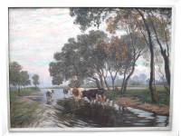 Verkoeling zoekende koeien in de IJssel